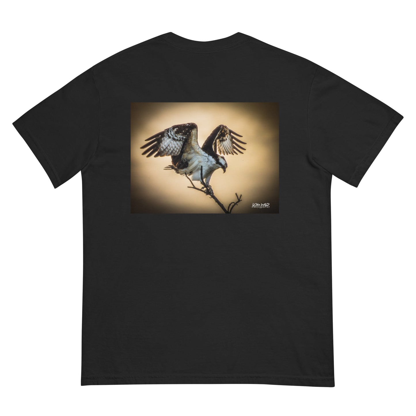 “Grace in Flight” Osprey T-Shirt – LOMWILD Edition - LOMWILD