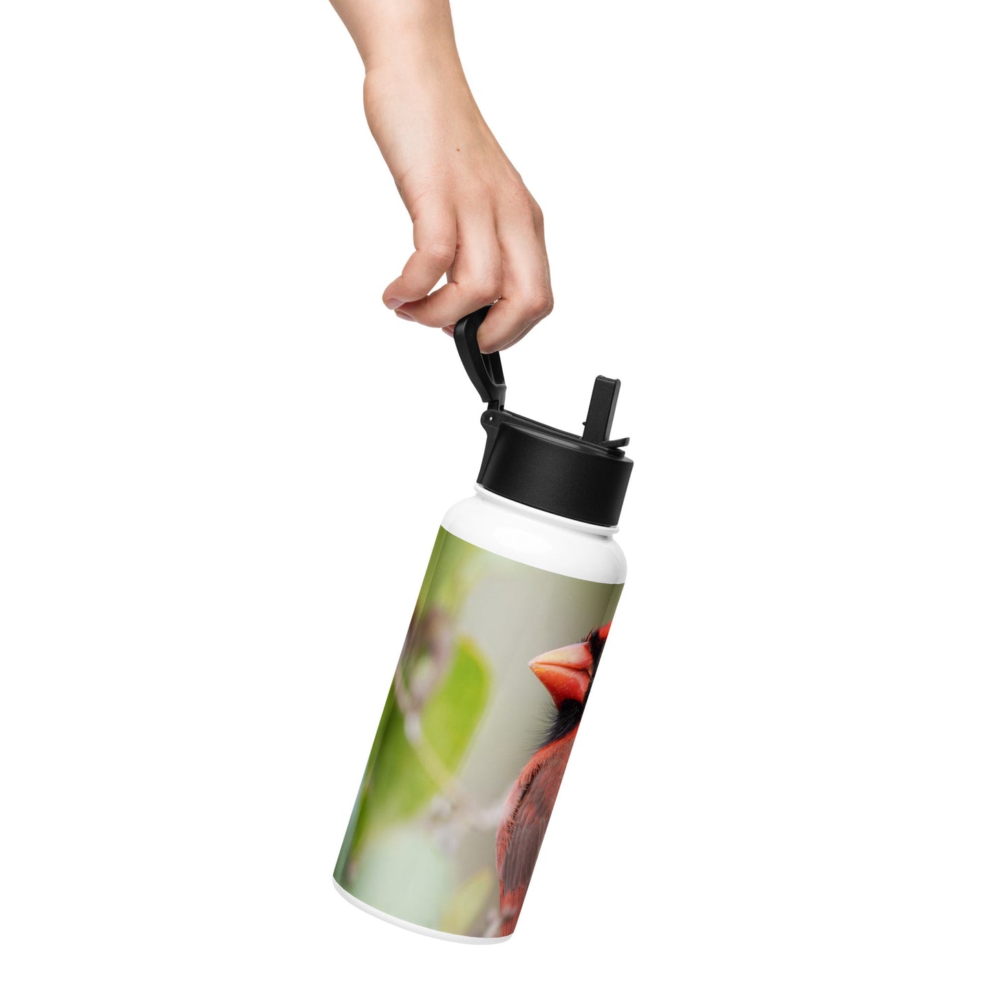 Northern Cardinal Stainless Steel Water Bottle with Straw Lid | LOMWILD - LOMWILD