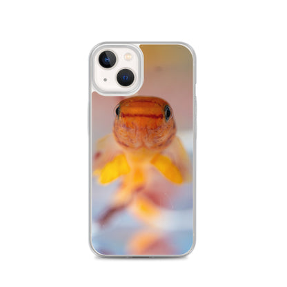 Aphyosemion australe Clear Case for iPhone® - LOMWILD