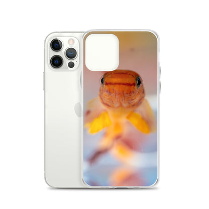 Aphyosemion australe Clear Case for iPhone® - LOMWILD