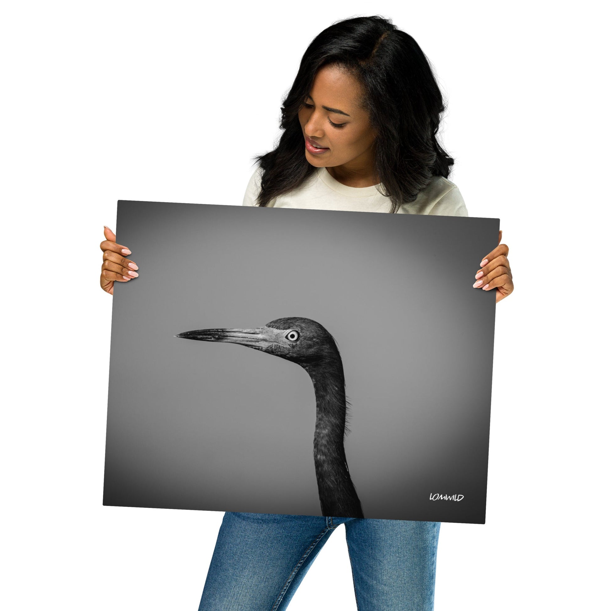 Black and White Heron Portrait – Metal Print by LOMWILD - LOMWILD