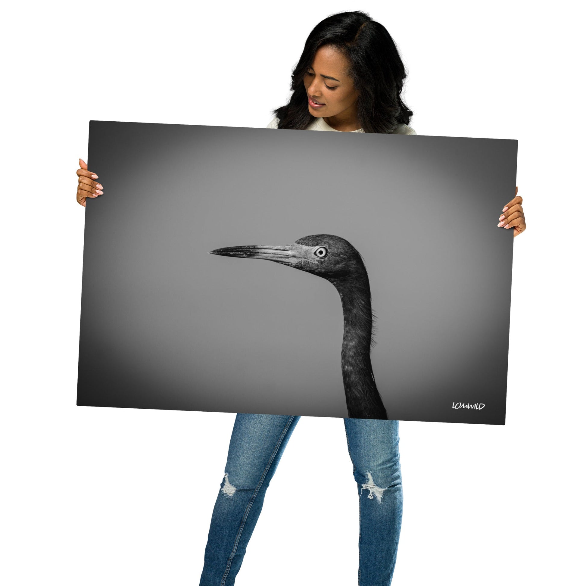 Black and White Heron Portrait – Metal Print by LOMWILD - LOMWILD