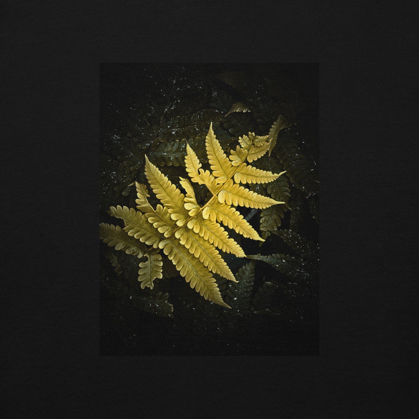 Golden Fern in the Shadows - Unisex Hoodie - LOMWILD