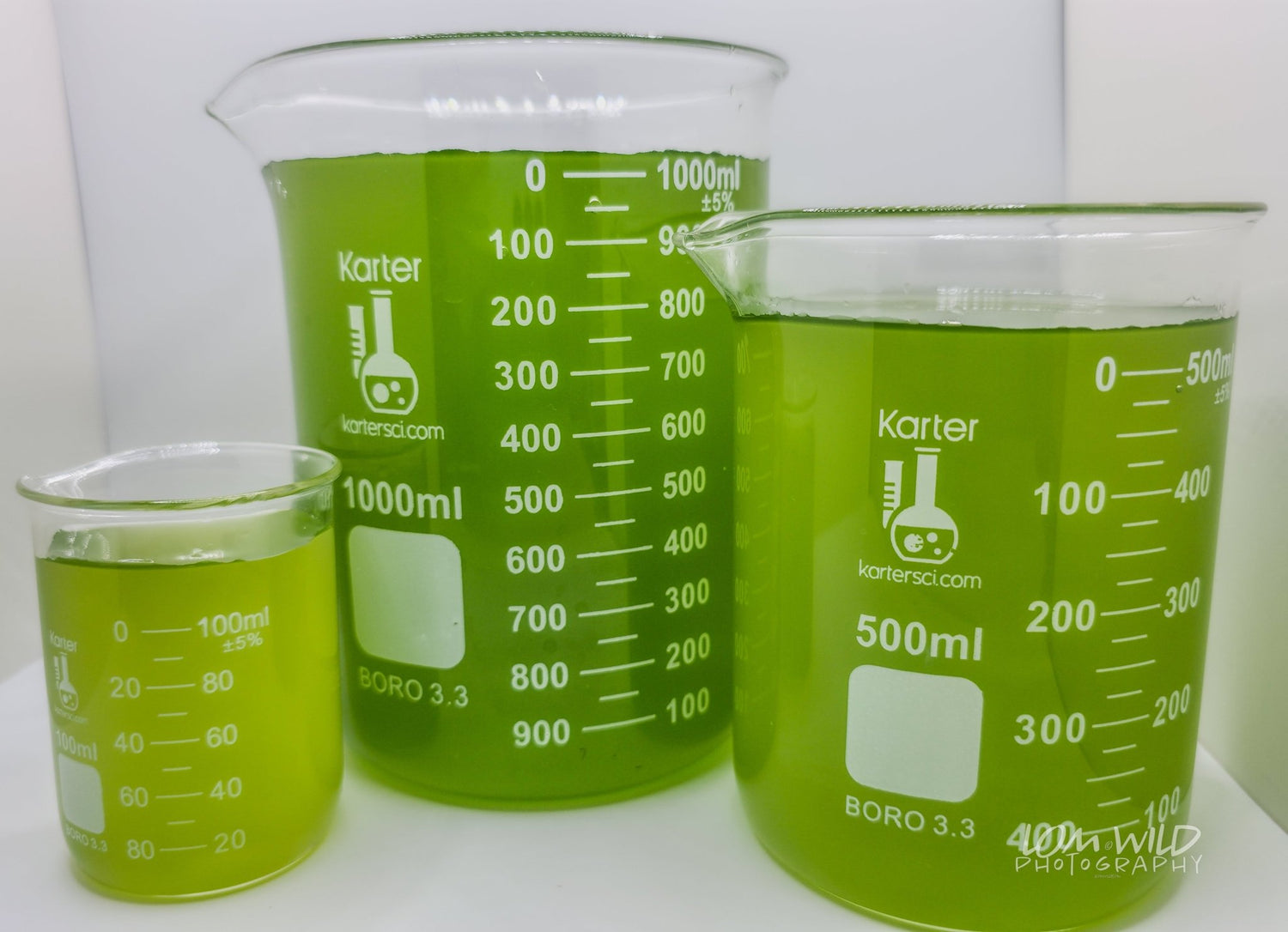 Green Water Culture – Live Phytoplankton Starter by LOMWILD - LOMWILD