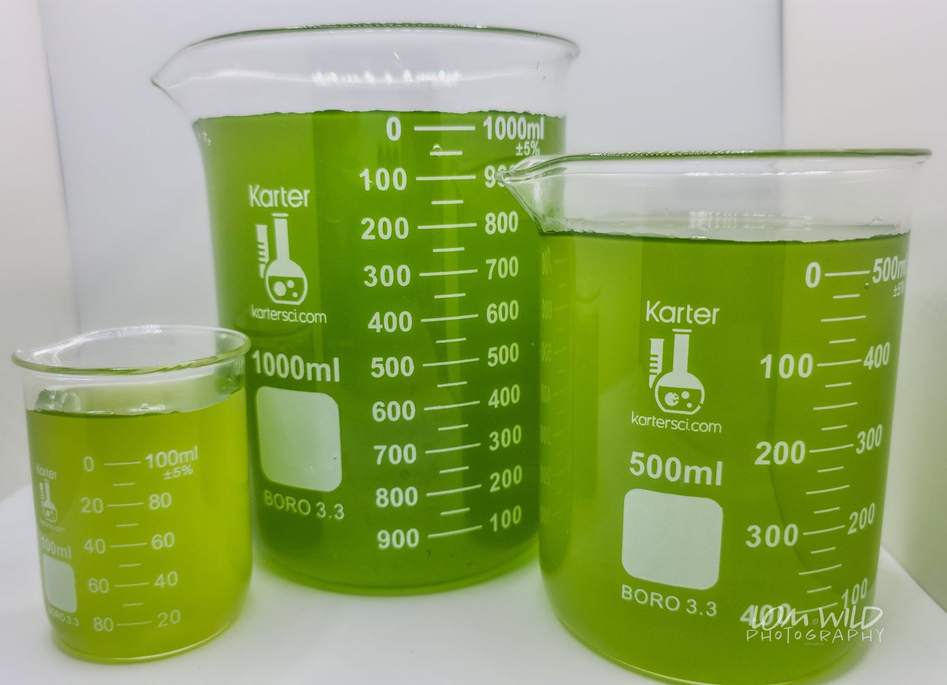 Green Water Culture – Live Phytoplankton Starter by LOMWILD - LOMWILD