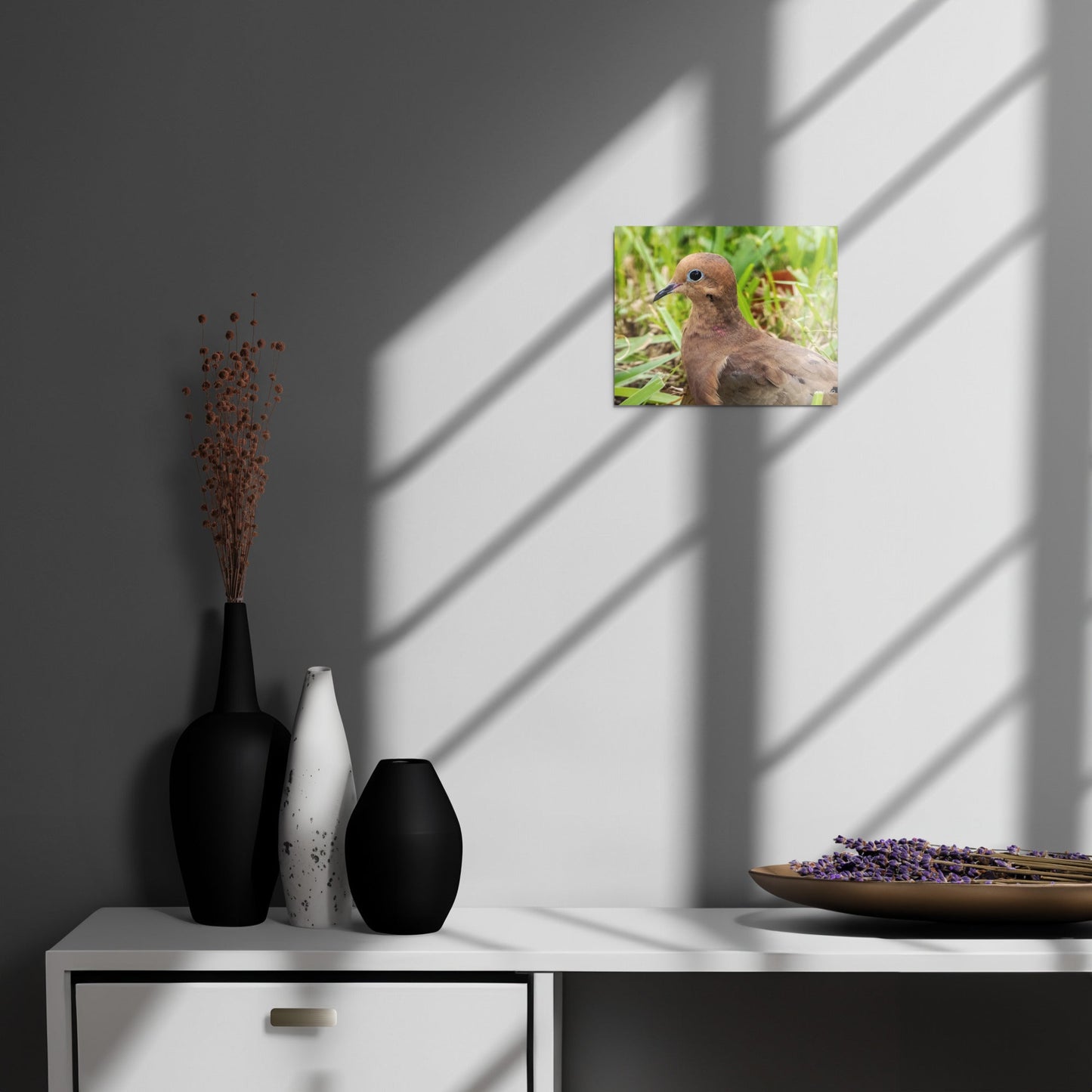 Mourning Dove Metal Wildlife Photography Print | LOMWILD - LOMWILD
