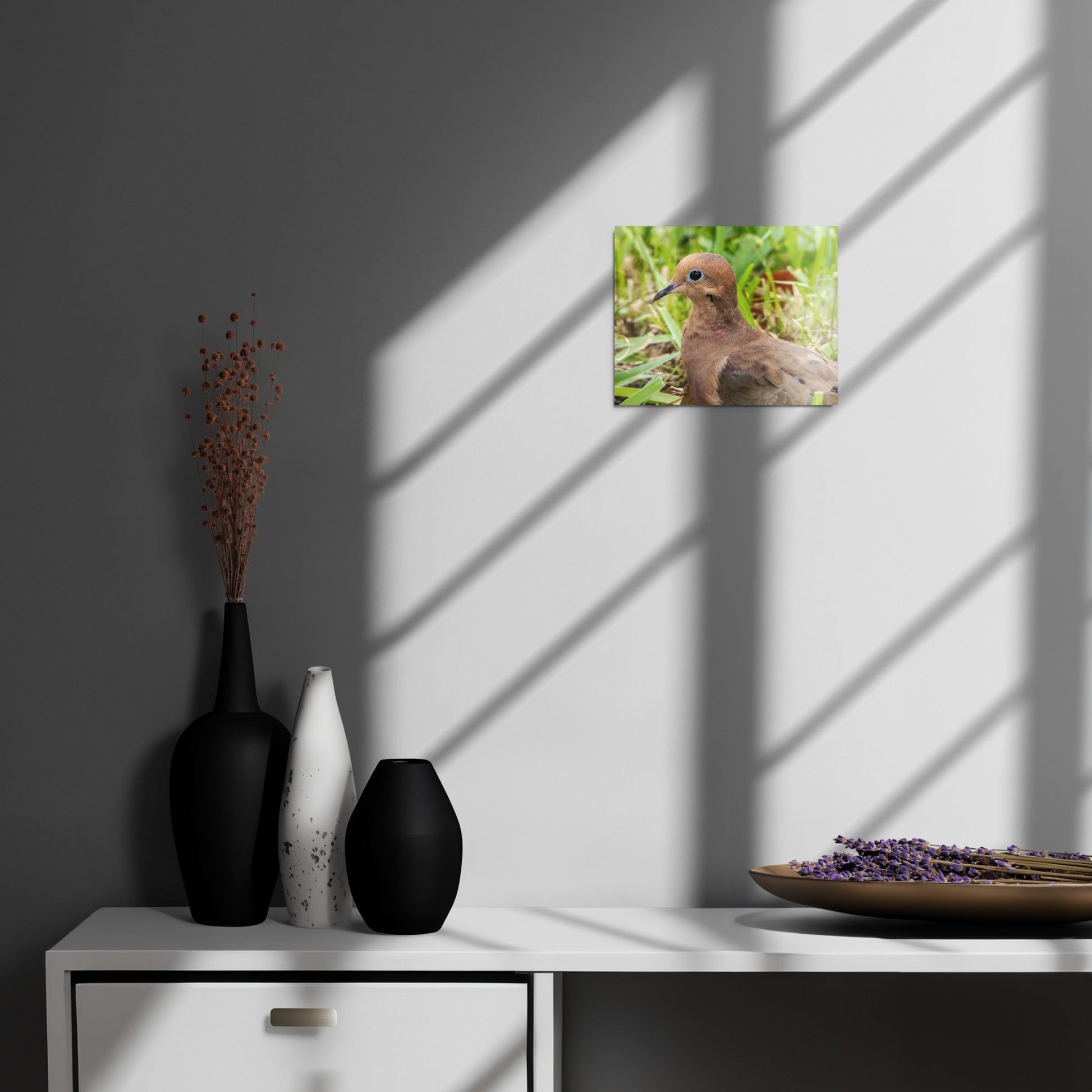 Mourning Dove Metal Wildlife Photography Print | LOMWILD - LOMWILD
