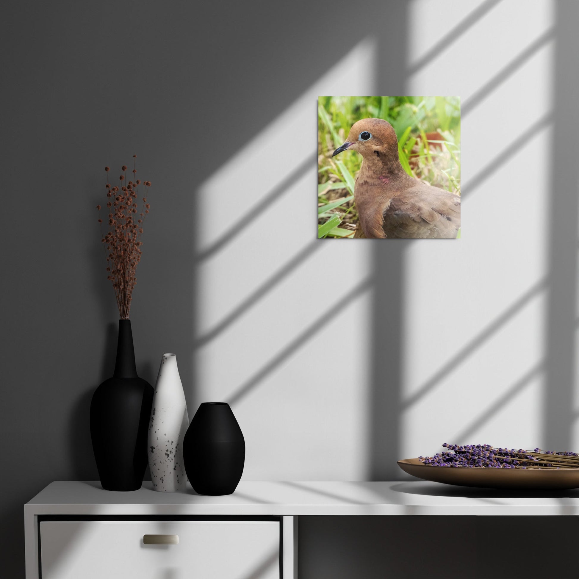 Mourning Dove Metal Wildlife Photography Print | LOMWILD - LOMWILD