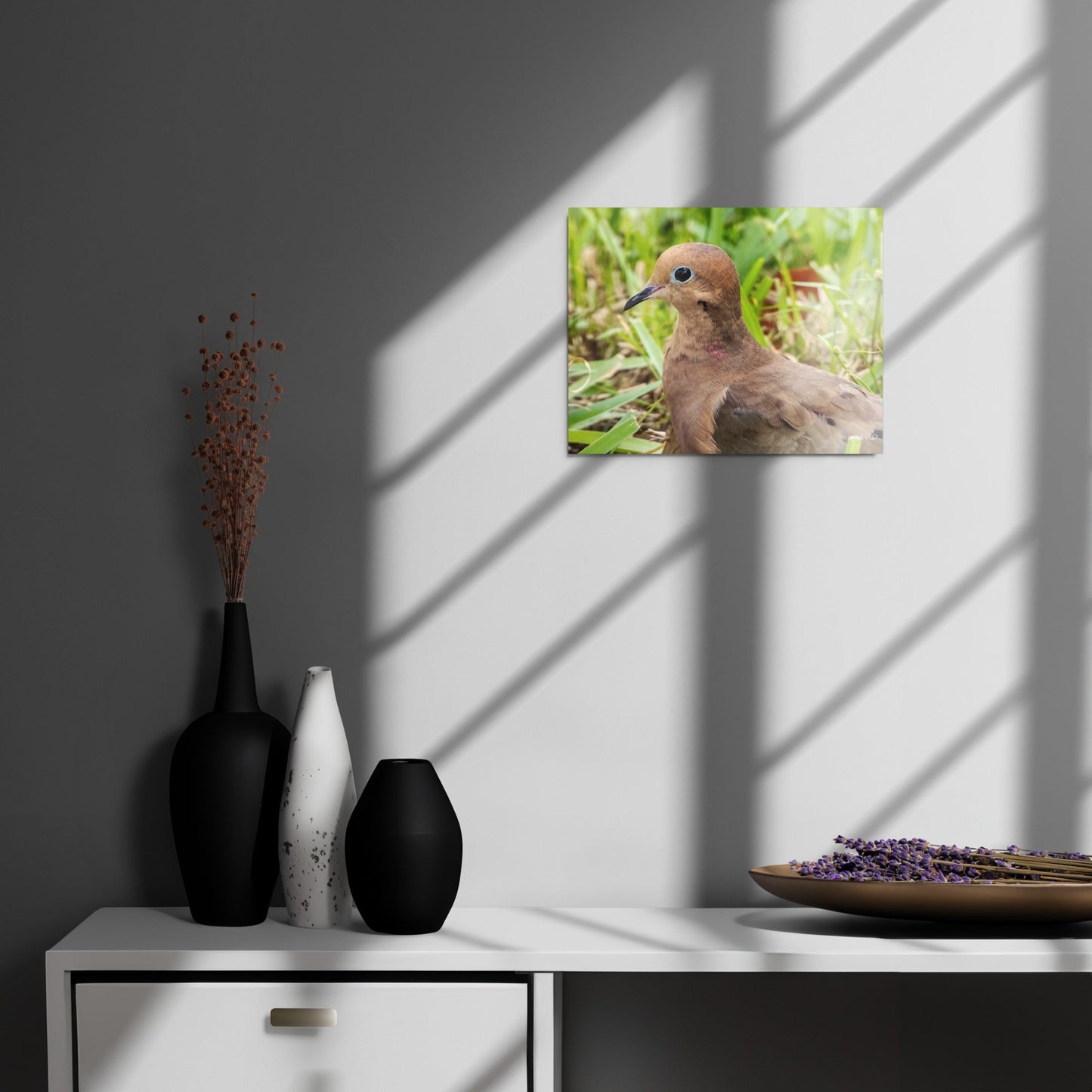 Mourning Dove Metal Wildlife Photography Print | LOMWILD - LOMWILD