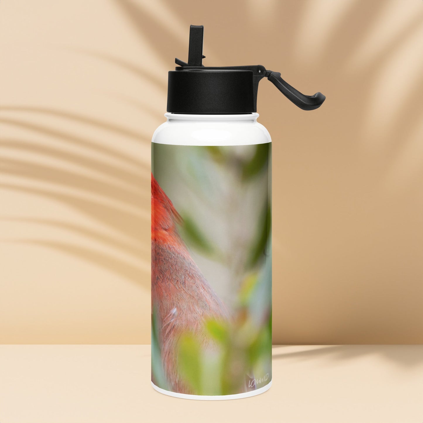 Northern Cardinal Stainless Steel Water Bottle with Straw Lid | LOMWILD - LOMWILD