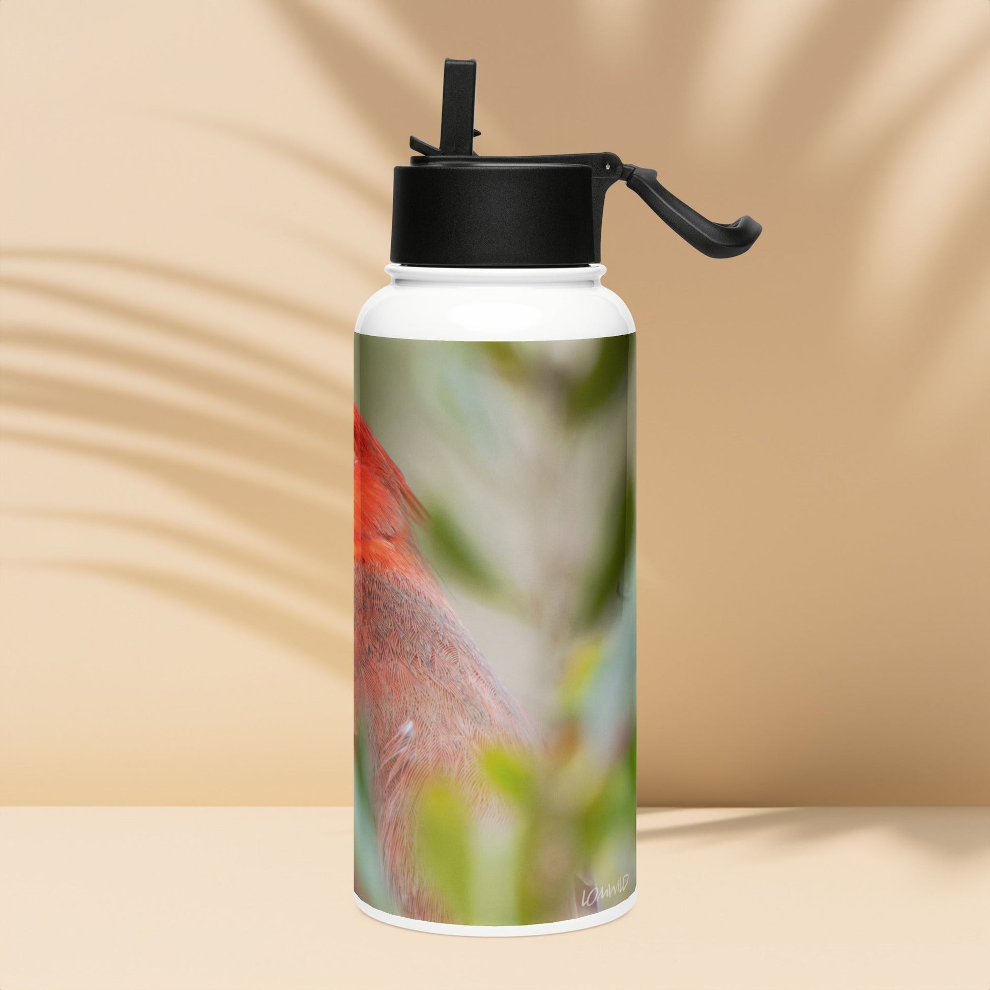 Northern Cardinal Stainless Steel Water Bottle with Straw Lid | LOMWILD - LOMWILD