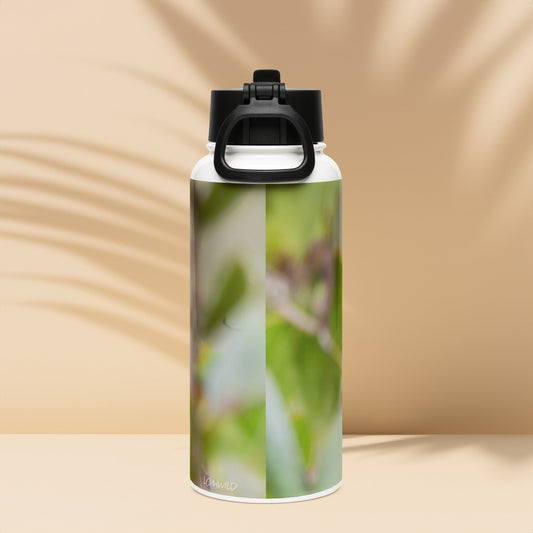 Northern Cardinal Stainless Steel Water Bottle with Straw Lid | LOMWILD - LOMWILD