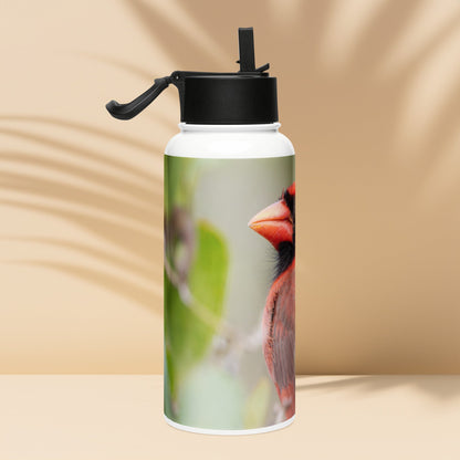 Northern Cardinal Stainless Steel Water Bottle with Straw Lid | LOMWILD - LOMWILD