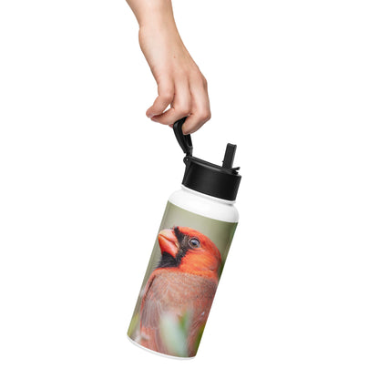 Northern Cardinal Stainless Steel Water Bottle with Straw Lid | LOMWILD - LOMWILD