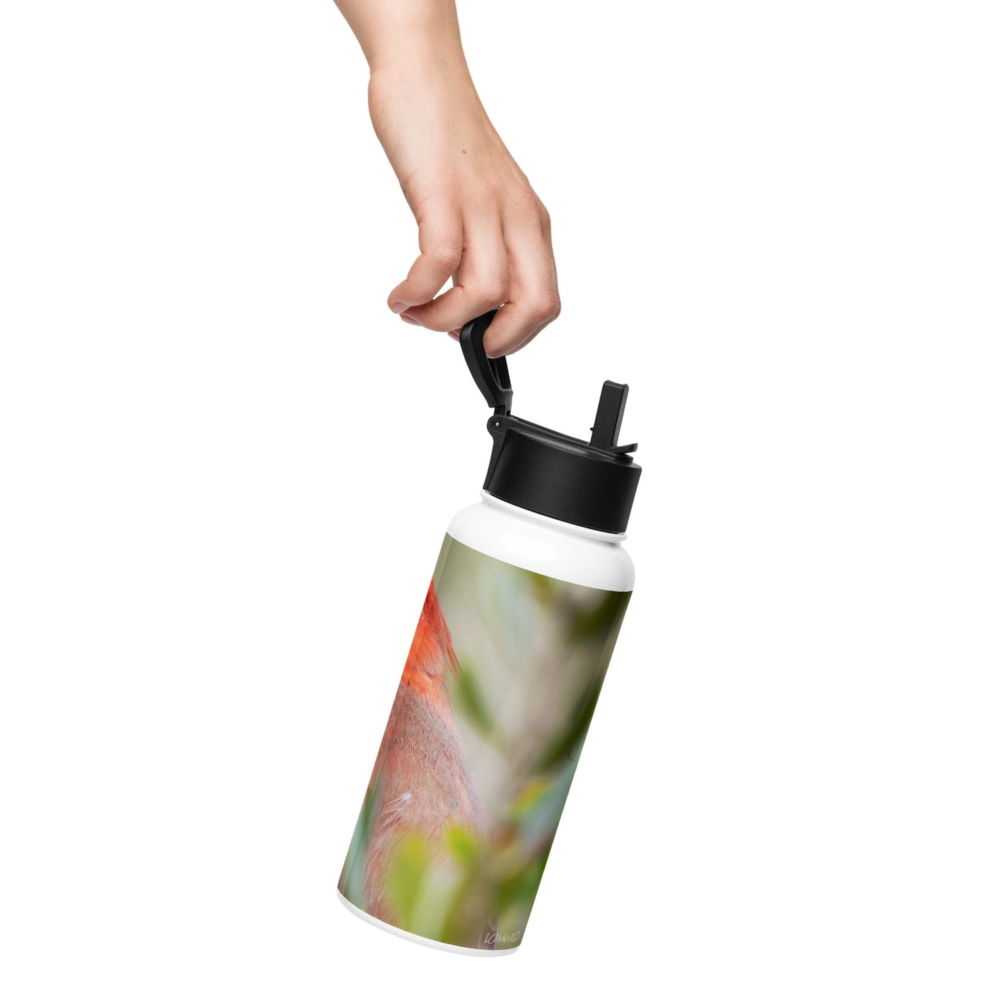 Northern Cardinal Stainless Steel Water Bottle with Straw Lid | LOMWILD - LOMWILD