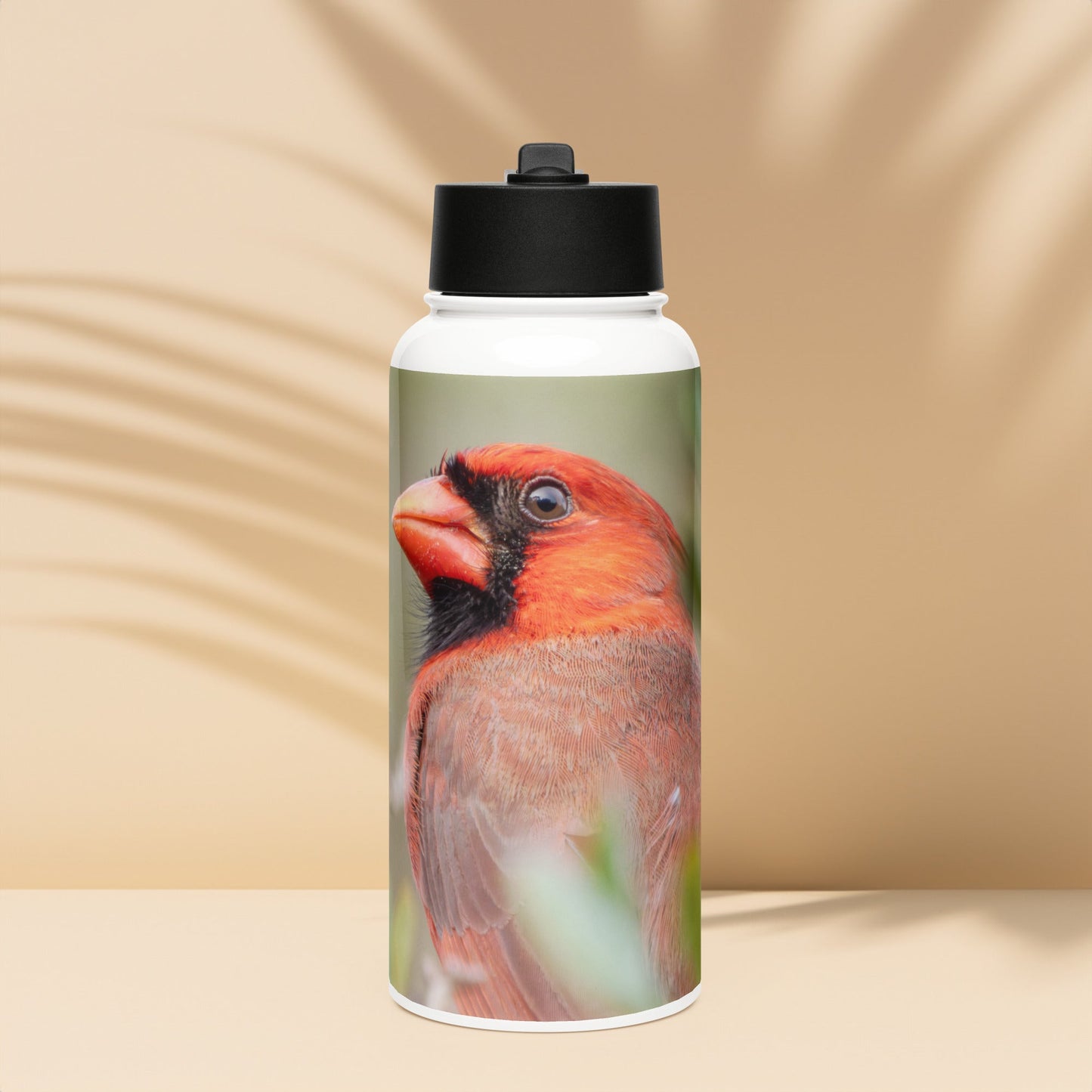 Northern Cardinal Stainless Steel Water Bottle with Straw Lid | LOMWILD - LOMWILD