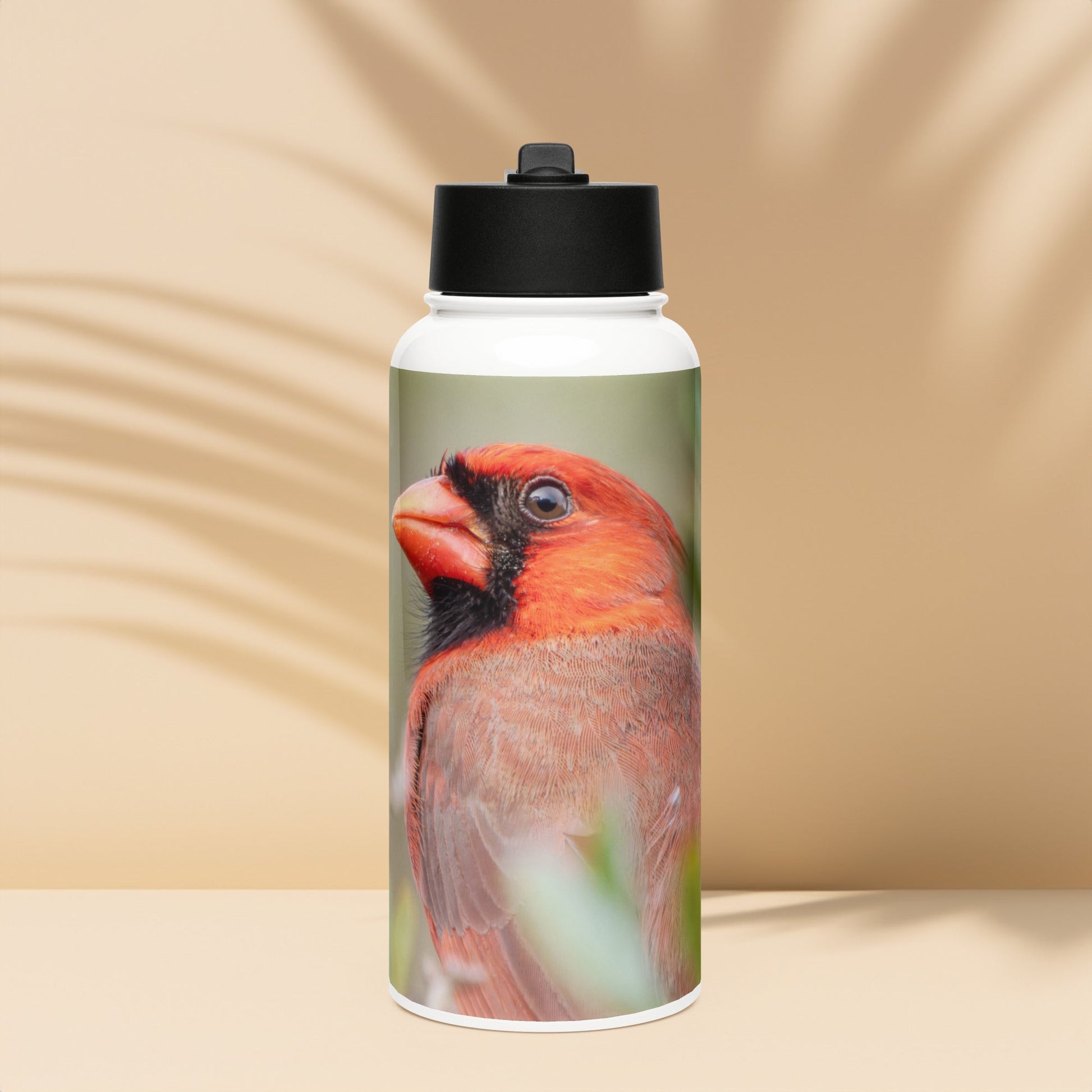 Northern Cardinal Stainless Steel Water Bottle with Straw Lid | LOMWILD - LOMWILD