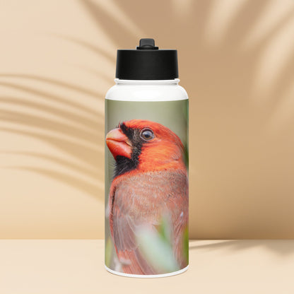 Northern Cardinal Stainless Steel Water Bottle with Straw Lid | LOMWILD - LOMWILD