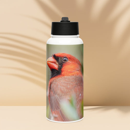 Northern Cardinal Stainless Steel Water Bottle with Straw Lid | LOMWILD - LOMWILD