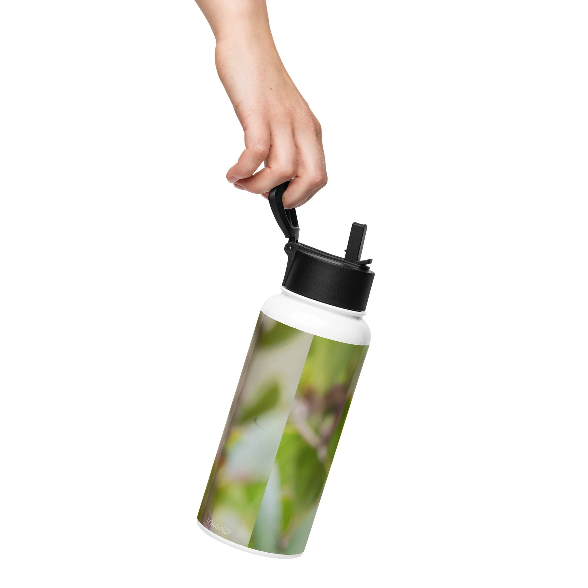 Northern Cardinal Stainless Steel Water Bottle with Straw Lid | LOMWILD - LOMWILD