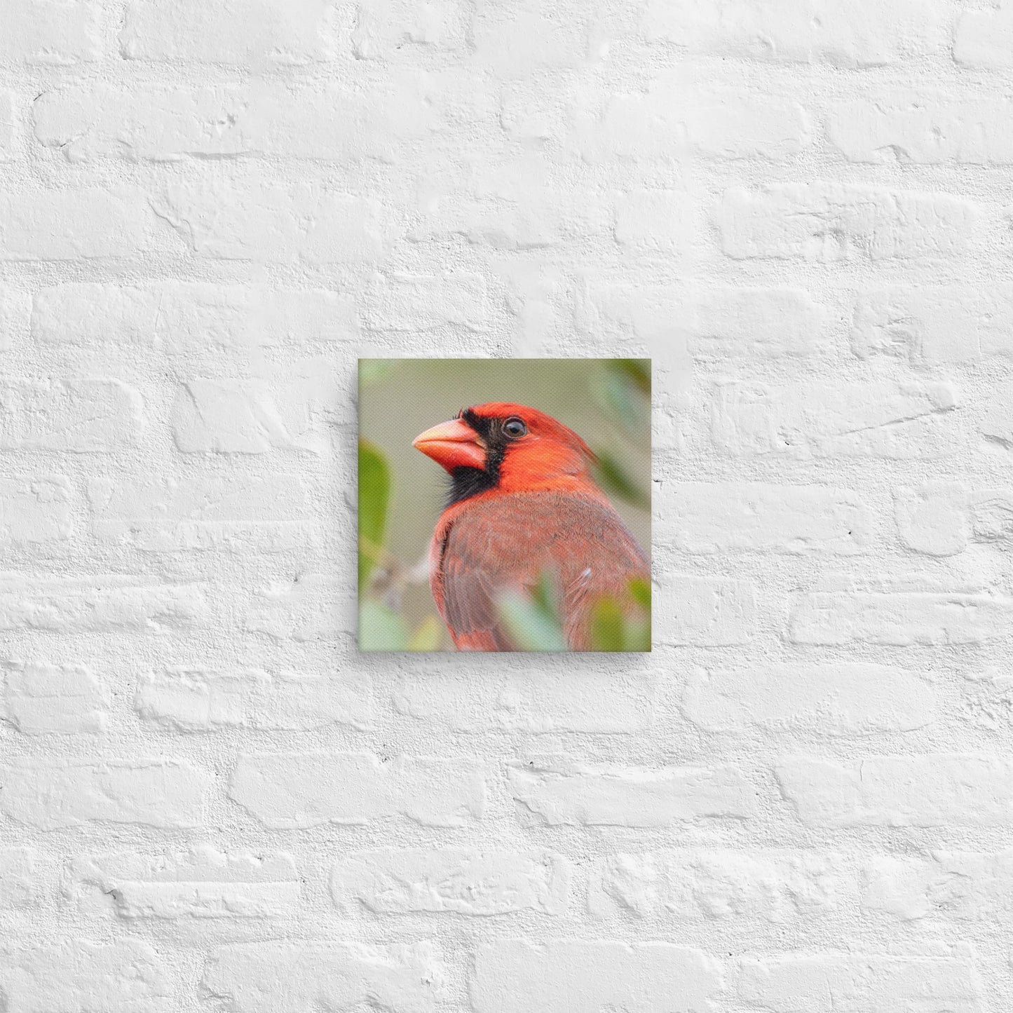 Northern Cardinal Wildlife Photography Print by LOMWILD - LOMWILD