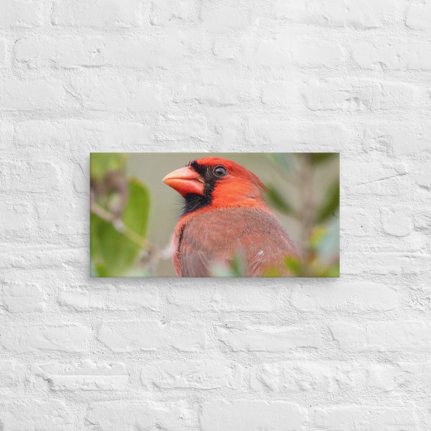Northern Cardinal Wildlife Photography Print by LOMWILD - LOMWILD