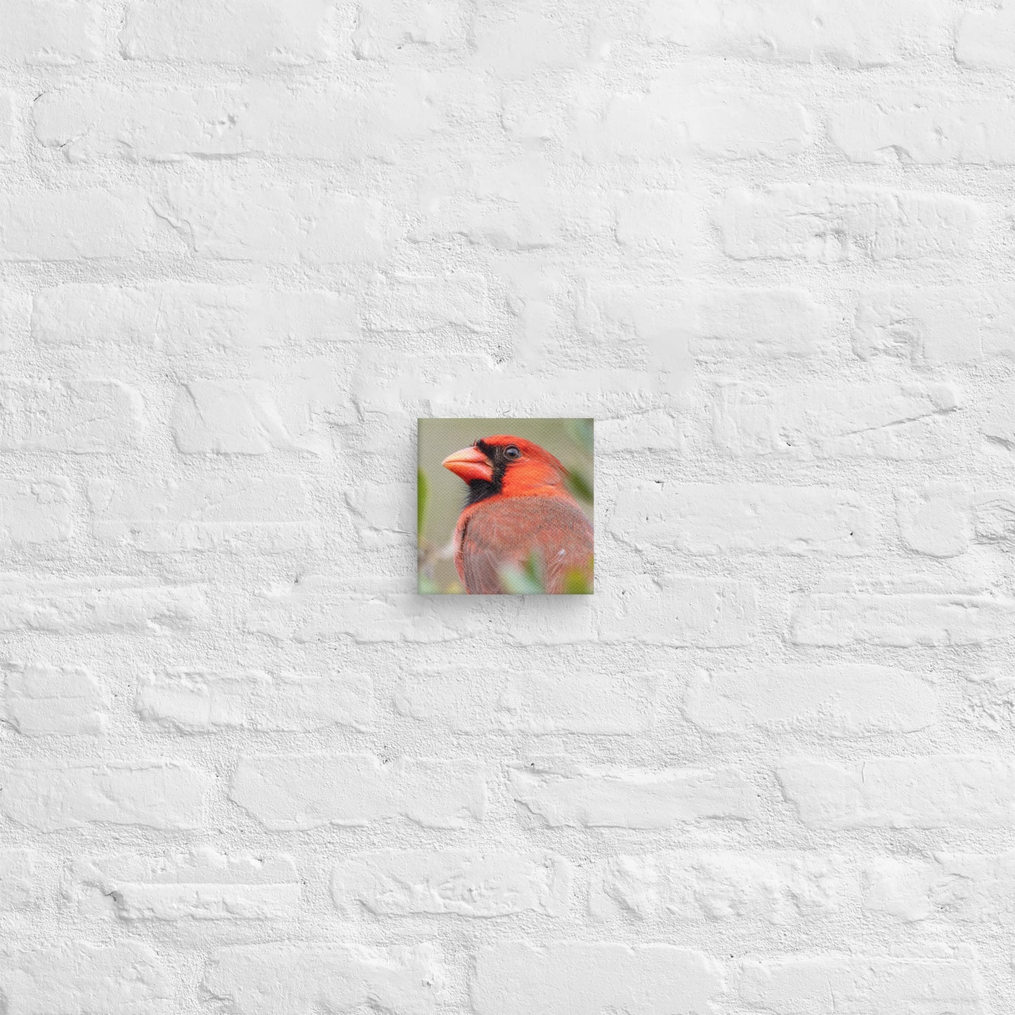 Northern Cardinal Wildlife Photography Print by LOMWILD - LOMWILD