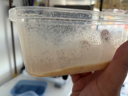 Walter Worms - LOMWILD